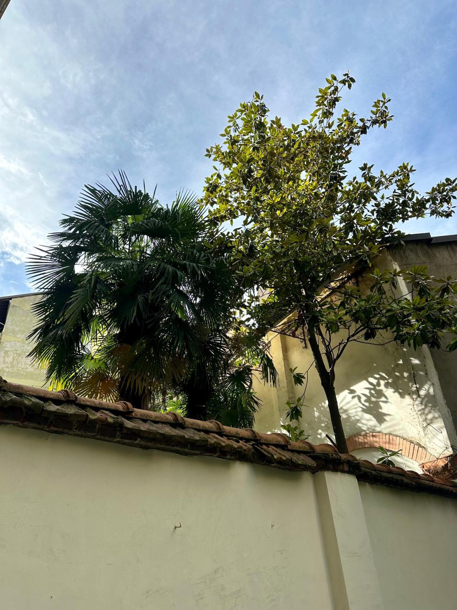 Lr Deluxe Apartments - Porta Venezia - Bilocale Con Giardino Privato Milan Bagian luar foto