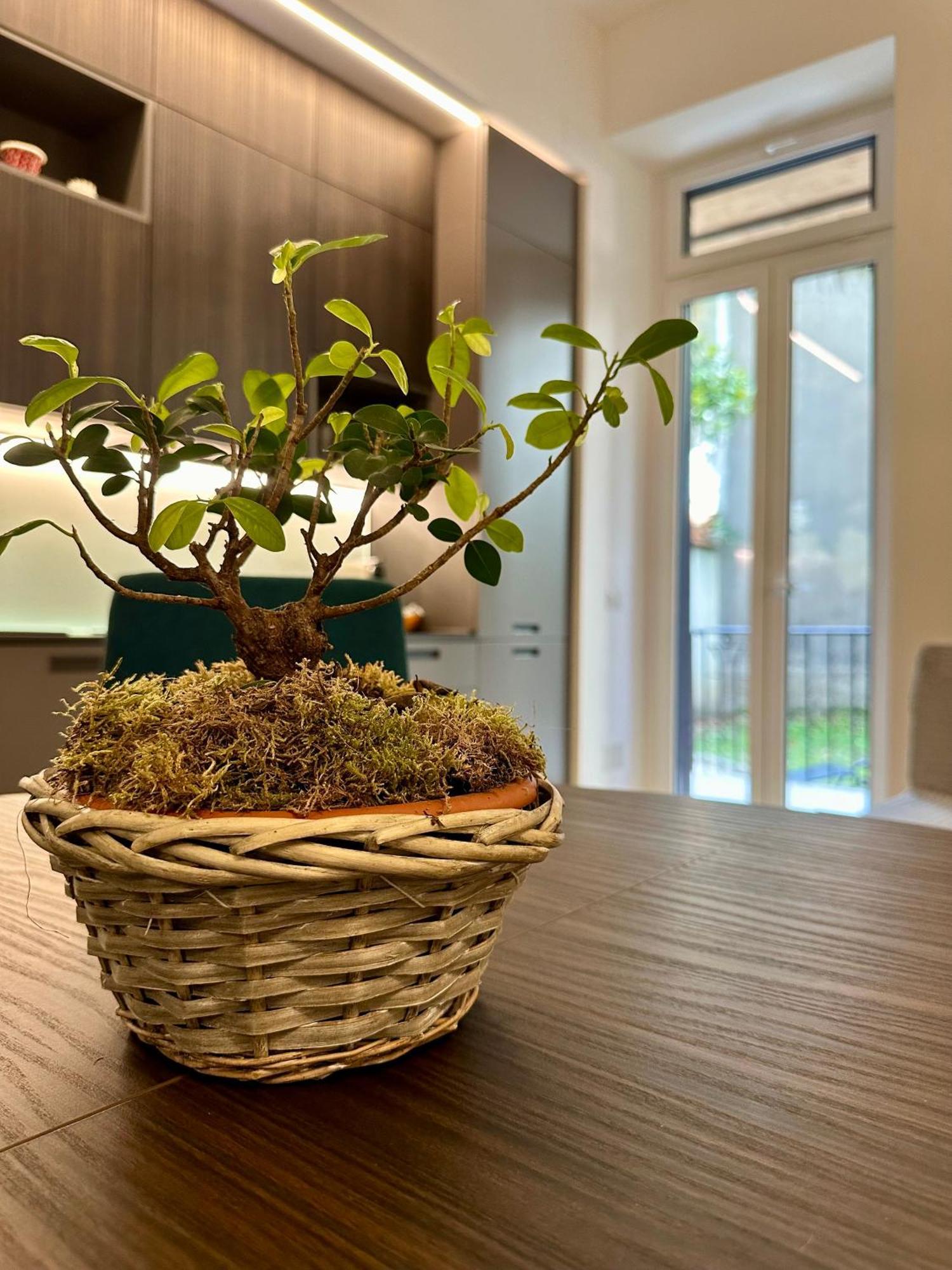 Lr Deluxe Apartments - Porta Venezia - Bilocale Con Giardino Privato Milan Bagian luar foto